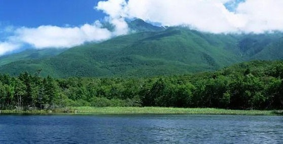 心平气和正能量的句子【心态美好正能量句子】