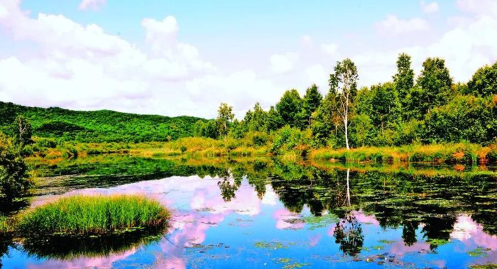 心平气和正能量的句子【心态美好正能量句子】