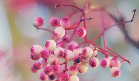 忘记一个人伤感说说【忘不了一个人伤感句子】