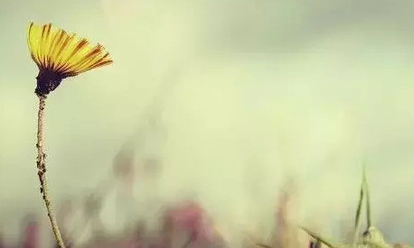 忘记一个人伤感说说【忘不了一个人伤感句子】