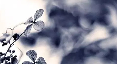 忘记一个人伤感说说【忘不了一个人伤感句子】