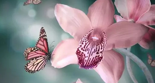 忘记一个人伤感说说【忘不了一个人伤感句子】