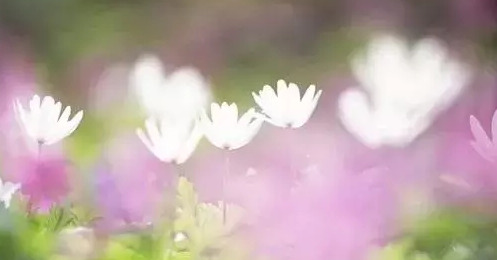 忘记一个人伤感说说【忘不了一个人伤感句子】