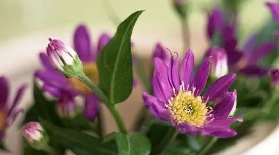 忘记一个人伤感说说【忘不了一个人伤感句子】