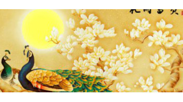 男马女蛇财运怎么样【男马女蛇怎么样】