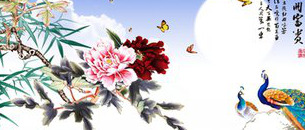 男马女蛇财运怎么样【男马女蛇怎么样】