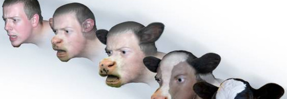 rsm是哪个学校【rsmb插件安装方法】