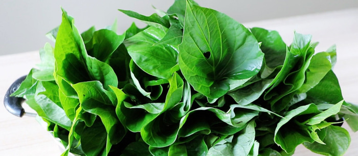 蔬菜保存一年保鲜方法【蔬菜的保鲜方法,我们需要注意这些】