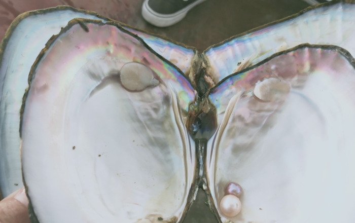 珍珠养人还是人养珍珠【玛瑙和珍珠哪个养人】