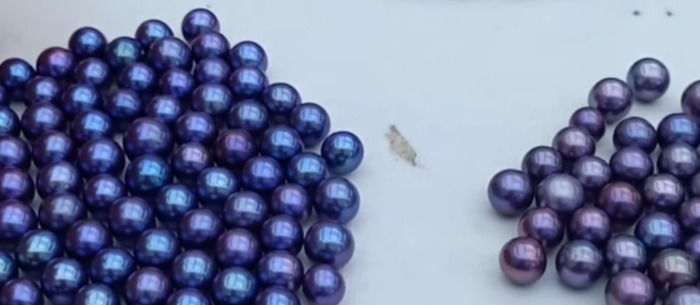 珍珠养人还是人养珍珠【玛瑙和珍珠哪个养人】