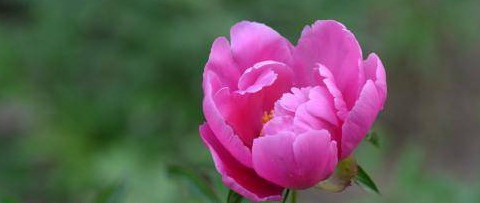 子时出生的人命运如何【子时出生人命运】