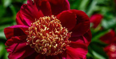 子时出生的人命运如何【子时出生人命运】