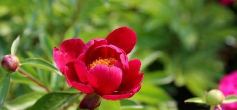 子时出生的人命运如何【子时出生人命运】