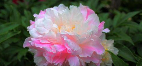 子时出生的人命运如何【子时出生人命运】