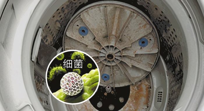 哪里可以学家电清洗【哪里可以学家电清洗?】