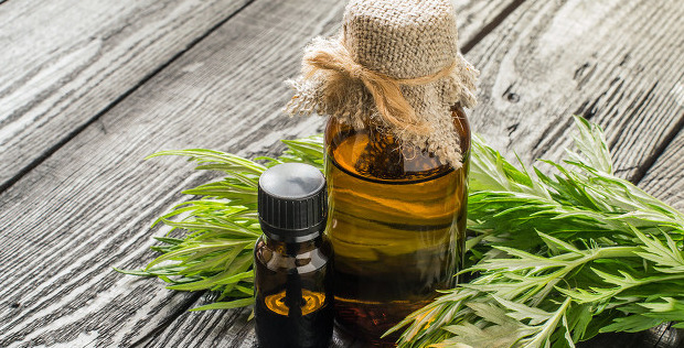 成长路上收获一缕芬芳【记忆中的那一缕芬芳】