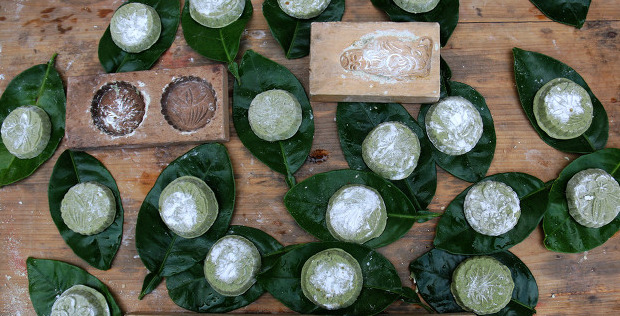 成长路上收获一缕芬芳【记忆中的那一缕芬芳】