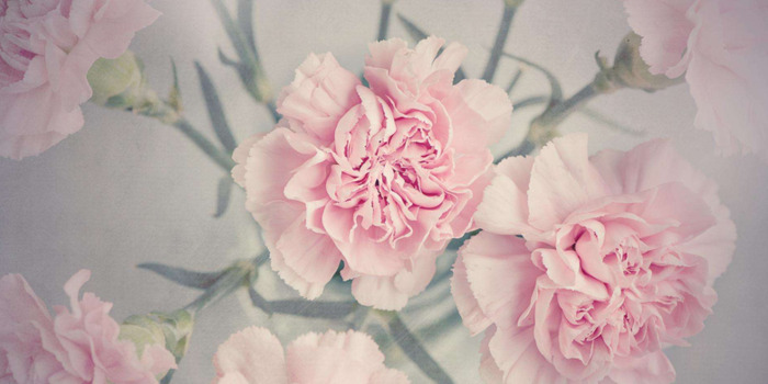 时间慢些走的经典语录【时光慢些走的语句】