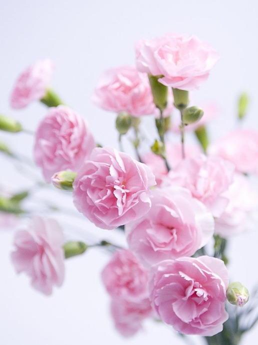 时间慢些走的经典语录【时光慢些走的语句】