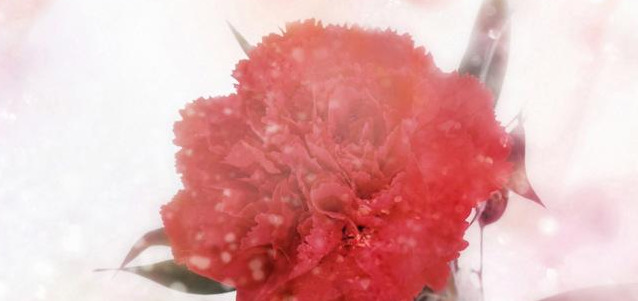 时间慢些走的经典语录【时光慢些走的语句】