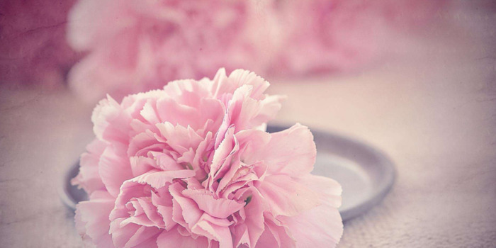 时间慢些走的经典语录【时光慢些走的语句】