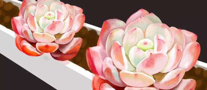 节日歌一月一日是元旦儿歌【一月一日是元旦每年开始的第一天儿歌】