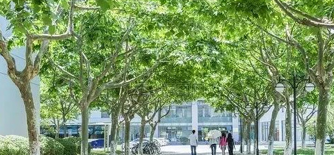 恨自己无能为力的句子说说心情【没钱无能为力的句子说说心情】