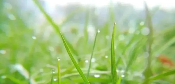 恨自己无能为力的句子说说心情【没钱无能为力的句子说说心情】