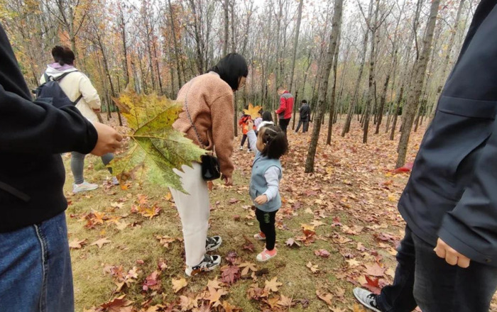 一粒种子的旅行【一粒种子果蔬酵素】