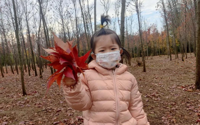 一粒种子的旅行【一粒种子果蔬酵素】