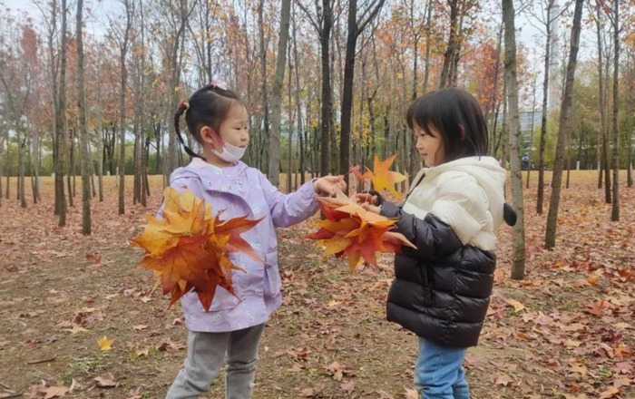 一粒种子的旅行【一粒种子果蔬酵素】