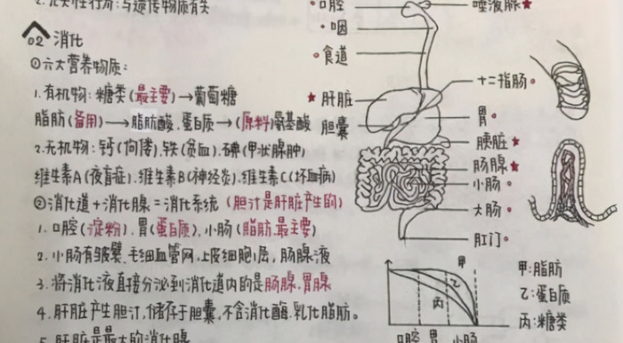 牛奶字体怎么练【免费练奶酪字体的软件】