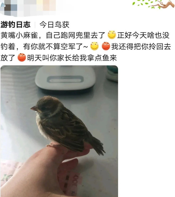 钓鱼佬永不空军【钓鱼佬永不空军是什么意思】