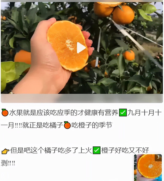 快团团怎么做【快团团怎么做团长】