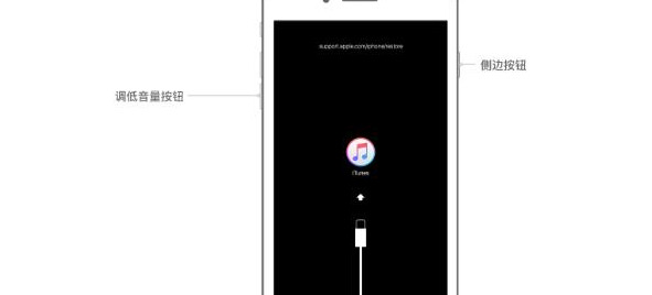 iphone已停用itunes怎么连接【ipad已停用itunes怎么连接】