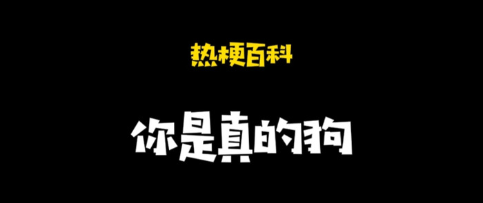 你是真的狗是什么意思【你是真的狗上一句是啥】