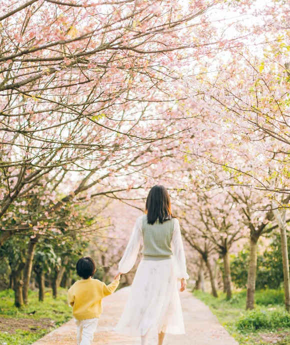 春天踏青的句子朋友圈短句【春天踏青的句子朋友圈说说】