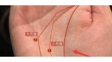 元宝纹长什么样【元宝纹是什么意思】