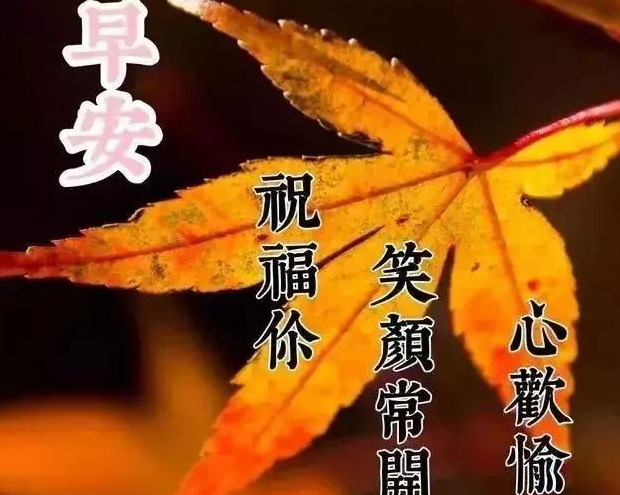 抖音励志语录经典短句【抖音励志语录正能量】