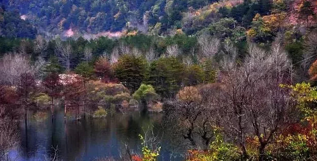 十一月份去西安旅游好吗【十一月去西安合适吗】