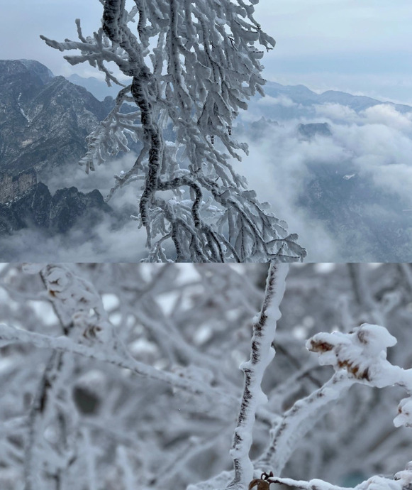 张家界站到天门山怎么坐车【从张家界站到天门山】