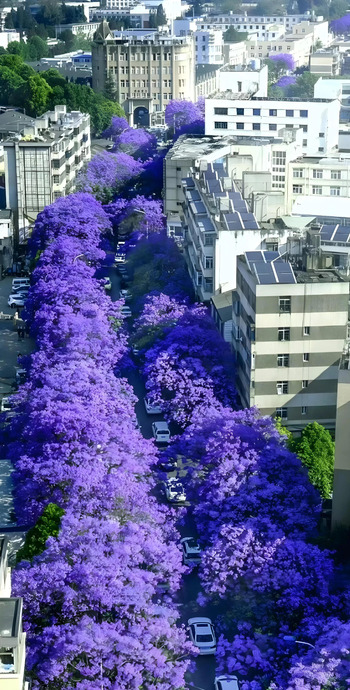 高清风景大图片【高清风景大图壁纸】