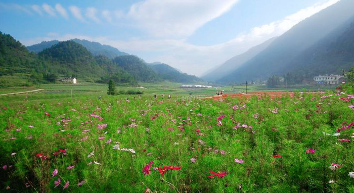 重庆景点排行榜前十名【重庆哪里好玩景点排名】