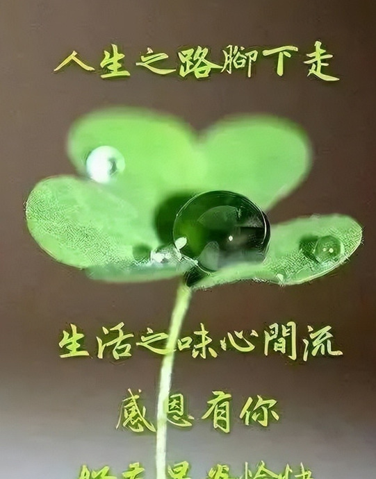 早上祝福语金句【经典祝福语】