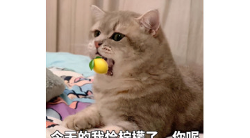 情侣的聊天套路【和情侣聊天套路】