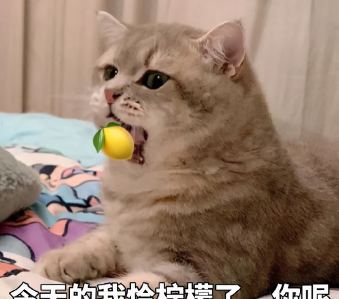 情侣的聊天套路【和情侣聊天套路】