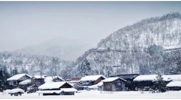 冬天的唯美诗句大全【冬天的唯美诗句雪花】