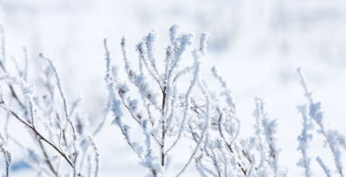 冬天的唯美诗句大全【冬天的唯美诗句雪花】