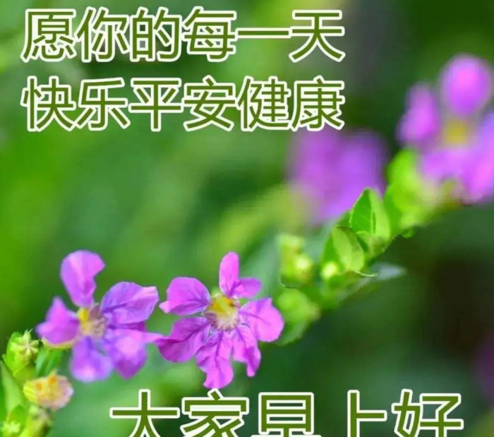 朋友问候语温馨一句话【朋友问候语温馨短句】