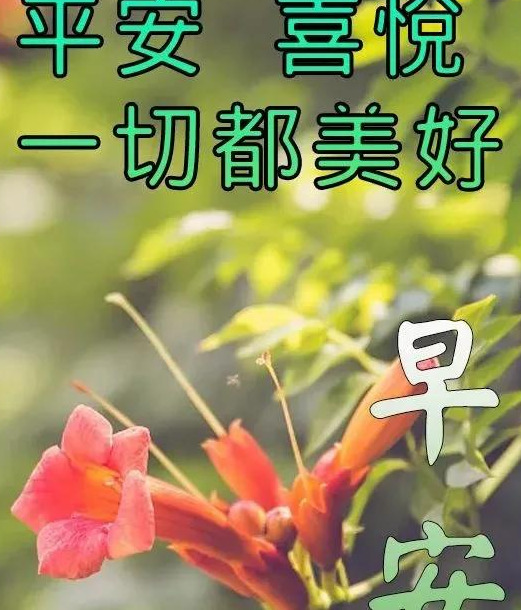 朋友问候语简短最美的句子【朋友问候语温馨短句】